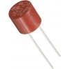T2A 250V fuse