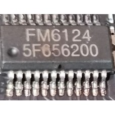 FM6124 FM SSOP24